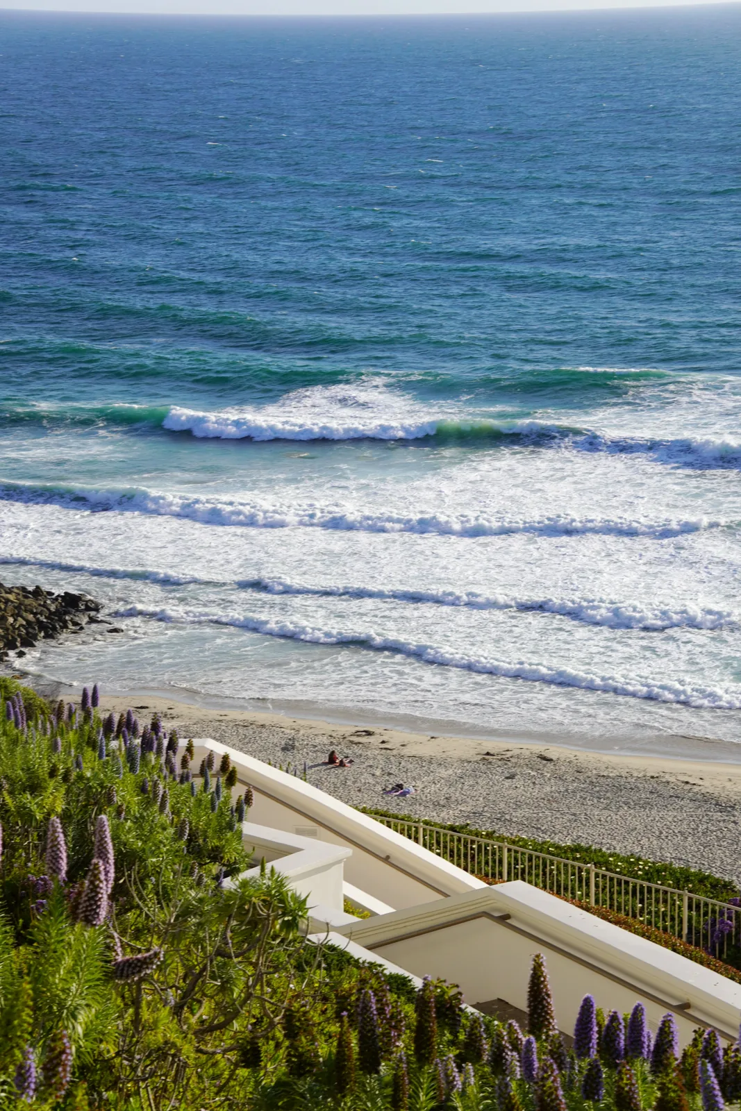 Dana Point ocean terrace view